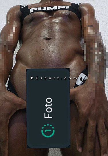 Danilo - Hombre escort en Alicante/Alacant