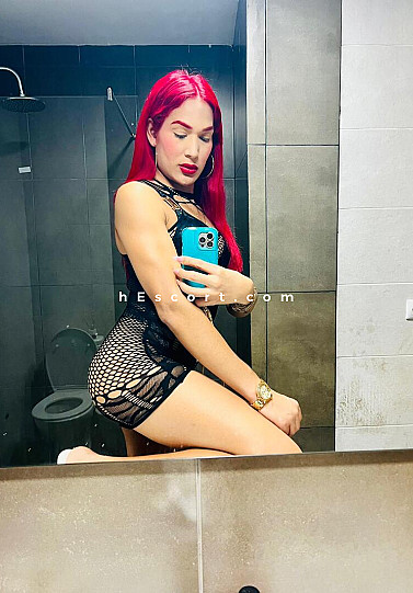 SHEYLA - Travestis escort en Barcelona
