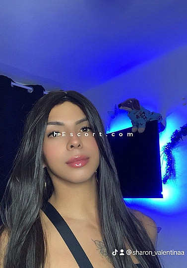 SHARON - Trans escort in Barcelona