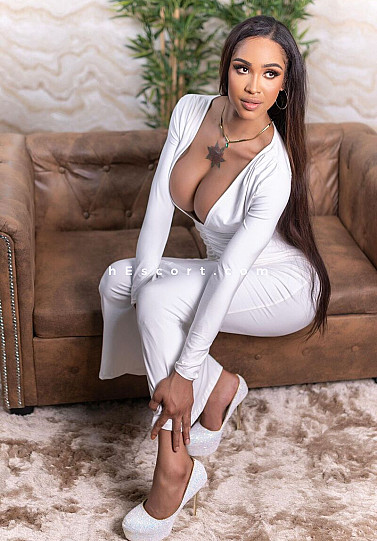 Laura - Travestis escort en Barcelona