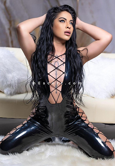 Renatha - Travestis escort en Madrid