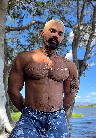 Diego - Male escort in Madrid
