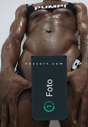 Danilo - Hombre escort en Alicante/Alacant