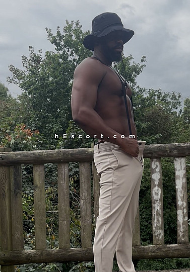 Chocolate Bull - Hombre escort en Benidorm