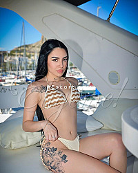 ALISON - Female escort in Barcelona