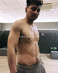 Harry - Hombre escort en Madrid