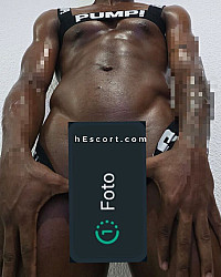 Danilo - Male escort in Alicante/Alacant