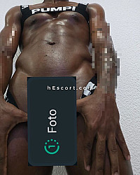 Danilo - Hombre escort en Alicante/Alacant
