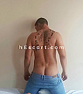 Apolo - Male escort in Figueres