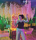 Ursula - Girl escort in Zaragoza