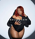 Alaya
