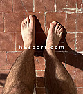 Lobo De Los Madriles - Hombre escort en Madrid