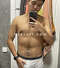 Willy - Male escort in Barcelona