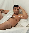 DARIUS