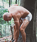 Briansilk77 - Male escort in Alicante/Alacant