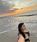 Sofia - Girl escort in Torrevieja