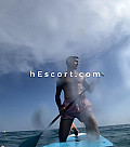 AlfredFl - Male escort in Alicante/Alacant