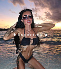 Erica