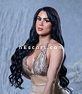 KAROL - Travestis escort en Madrid