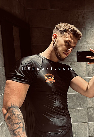 Alejandro - Hombre escort en Valencia