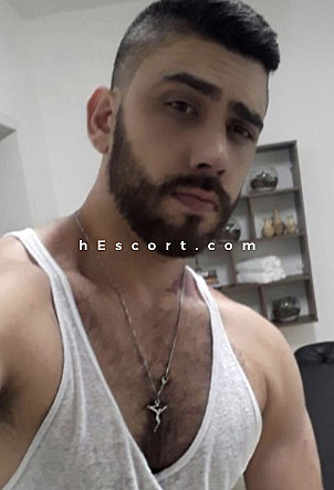 David - Hombre escort en Madrid