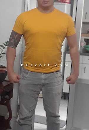 Alejandro88 - Hombre escort en Rozas de Madrid (Las)