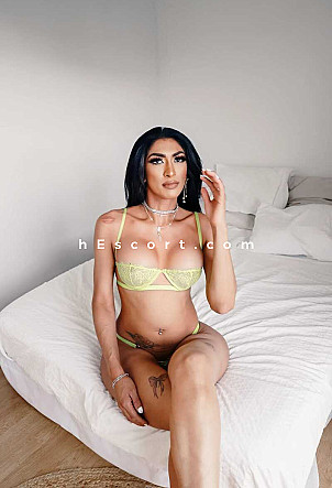 Veronica - Travestis escort en Barcelona