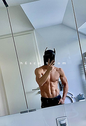 Max - Hombre escort en Palma de Mallorca
