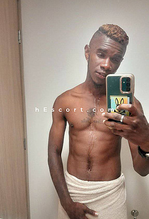 Roger - Male escort in Alicante/Alacant