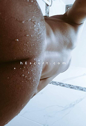Anthon - Male escort in Madrid
