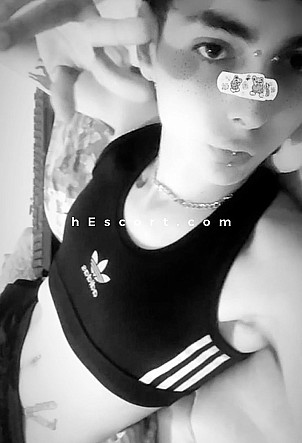 Kai - Male escort in Barcelona