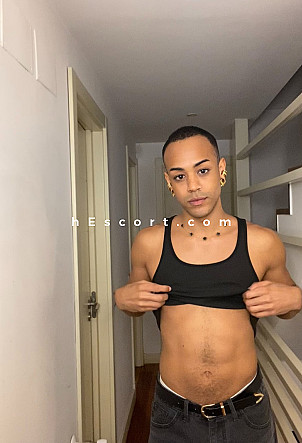 Romu - Male escort in Madrid