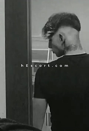 David - Male escort in Valencia