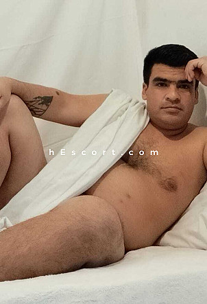 DARIUS - Male escort in Palma de Mallorca