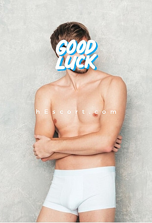 David - Male escort in Torrevieja