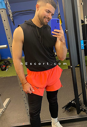 Eltigre - Male escort in Madrid
