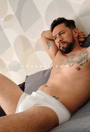 David - Male escort in Barcelona