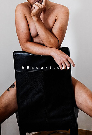 Briansilk77 - Male escort in Alicante/Alacant
