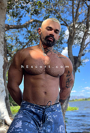 Diego - Male escort in Madrid