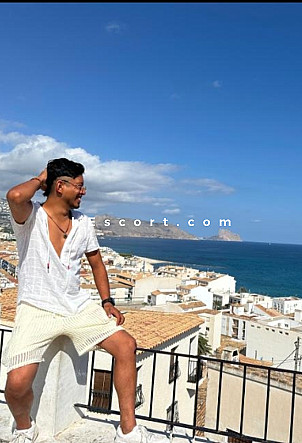 Lion94 - Male escort in Alicante/Alacant