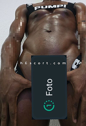 Danilo - Hombre escort en Alicante/Alacant