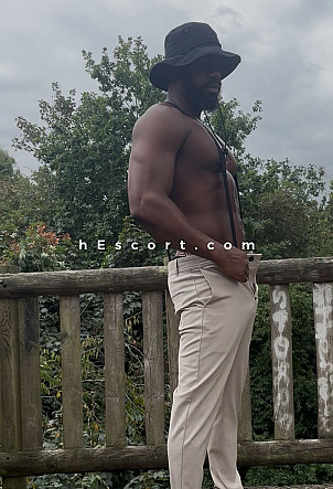 Chocolate Bull - Male escort in Benidorm