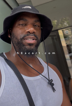 Chocolate Bull - Male escort in Barcelona